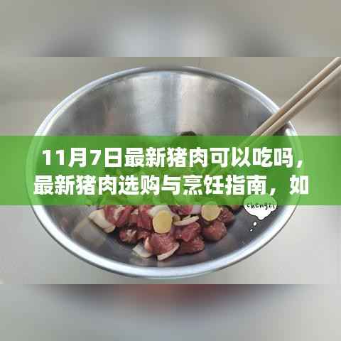 11月7日最新猪肉选购与烹饪指南,安全享用新鲜猪肉的方法