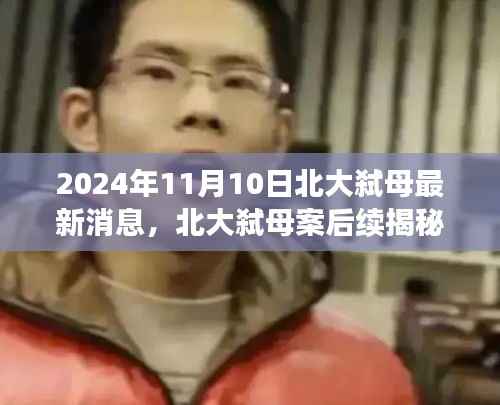 北大弑母案后续揭秘,探寻自然美景的心灵治愈之旅(最新消息)