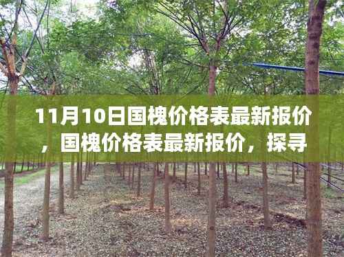探寻国槐市场波动背后的故事与影响,最新报价及价格走势分析(11月10日)