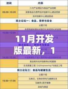 深度探讨某技术,11月开发版最新利弊分析