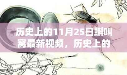 历史上的11月25日揭秘,蝌叫窝最新视频解密时刻