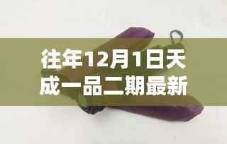 往年12月1日天成一品二期最新动态揭秘与更新