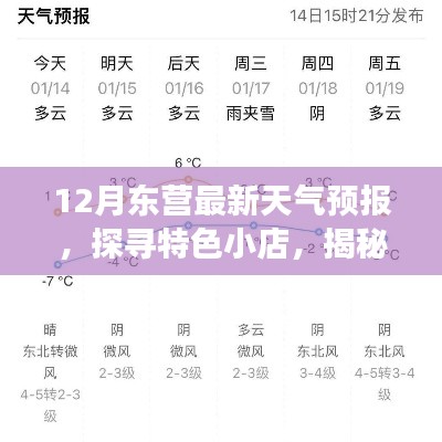 瑞雪飞舞 第2页