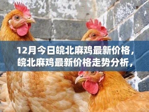 杳无音讯 第2页