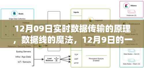 暖心数据之旅,揭秘实时数据传输原理与数据线的魔法