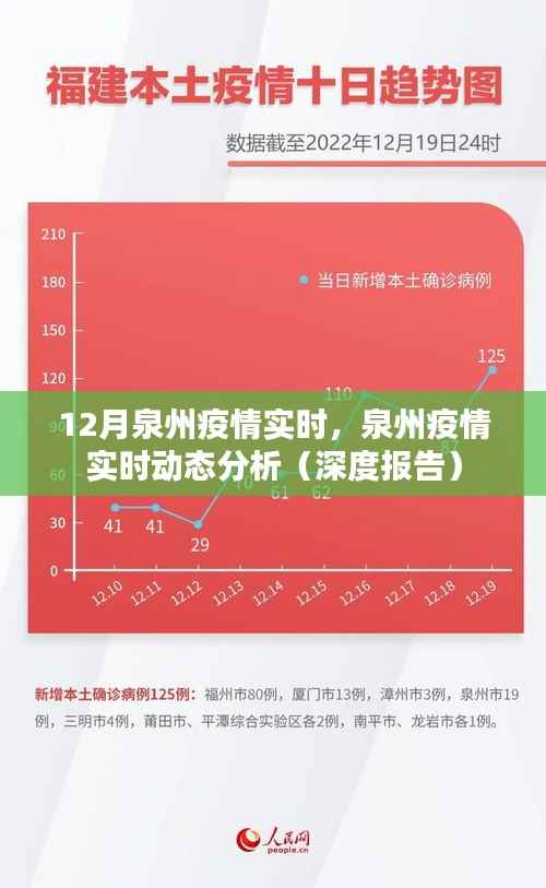 泉州疫情深度报告，实时动态分析与实时数据解读（十二月版）