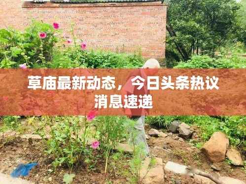 草庙最新动态，今日头条热议消息速递