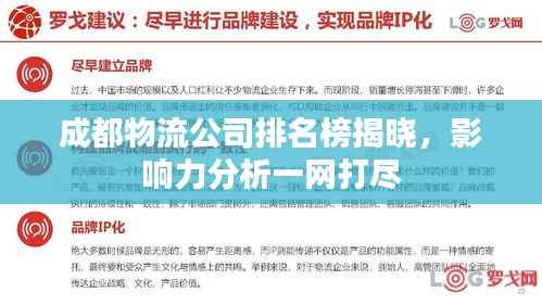 成都物流公司排名榜揭晓，影响力分析一网打尽