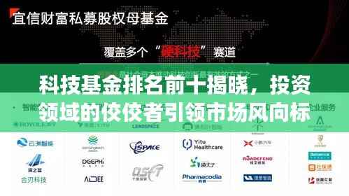 科技基金排名前十揭晓，投资领域的佼佼者引领市场风向标