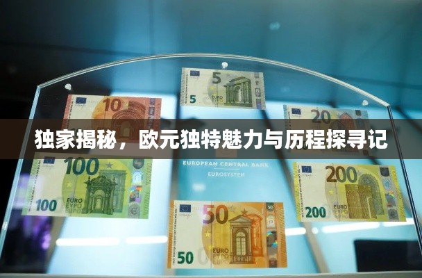 独家揭秘，欧元独特魅力与历程探寻记