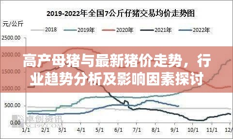 高产母猪与最新猪价走势，行业趋势分析及影响因素探讨