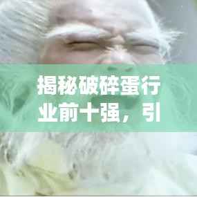揭秘破碎蛋行业前十强，引领市场潮流的佼佼者
