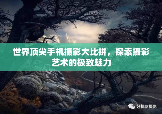 世界顶尖手机摄影大比拼,探索摄影艺术的极致魅力