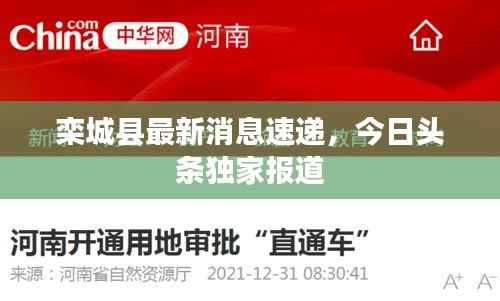 栾城县最新消息速递，今日头条独家报道