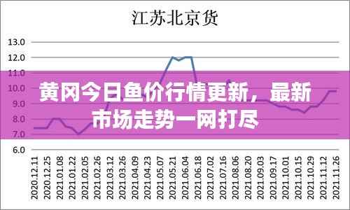 黄冈今日鱼价行情更新，最新市场走势一网打尽