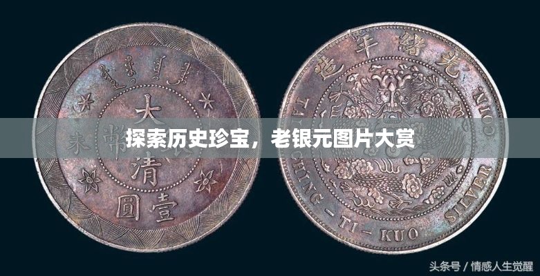 探索历史珍宝,老银元图片大赏