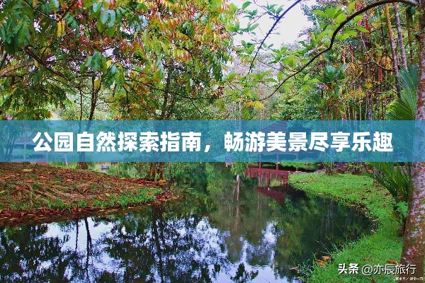 公园自然探索指南，畅游美景尽享乐趣